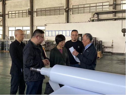 同舟共濟 共謀發展 區四套班子領導開展 穩企助企 穩進提質 走訪活動